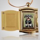 Pet Gold Picture Pendant